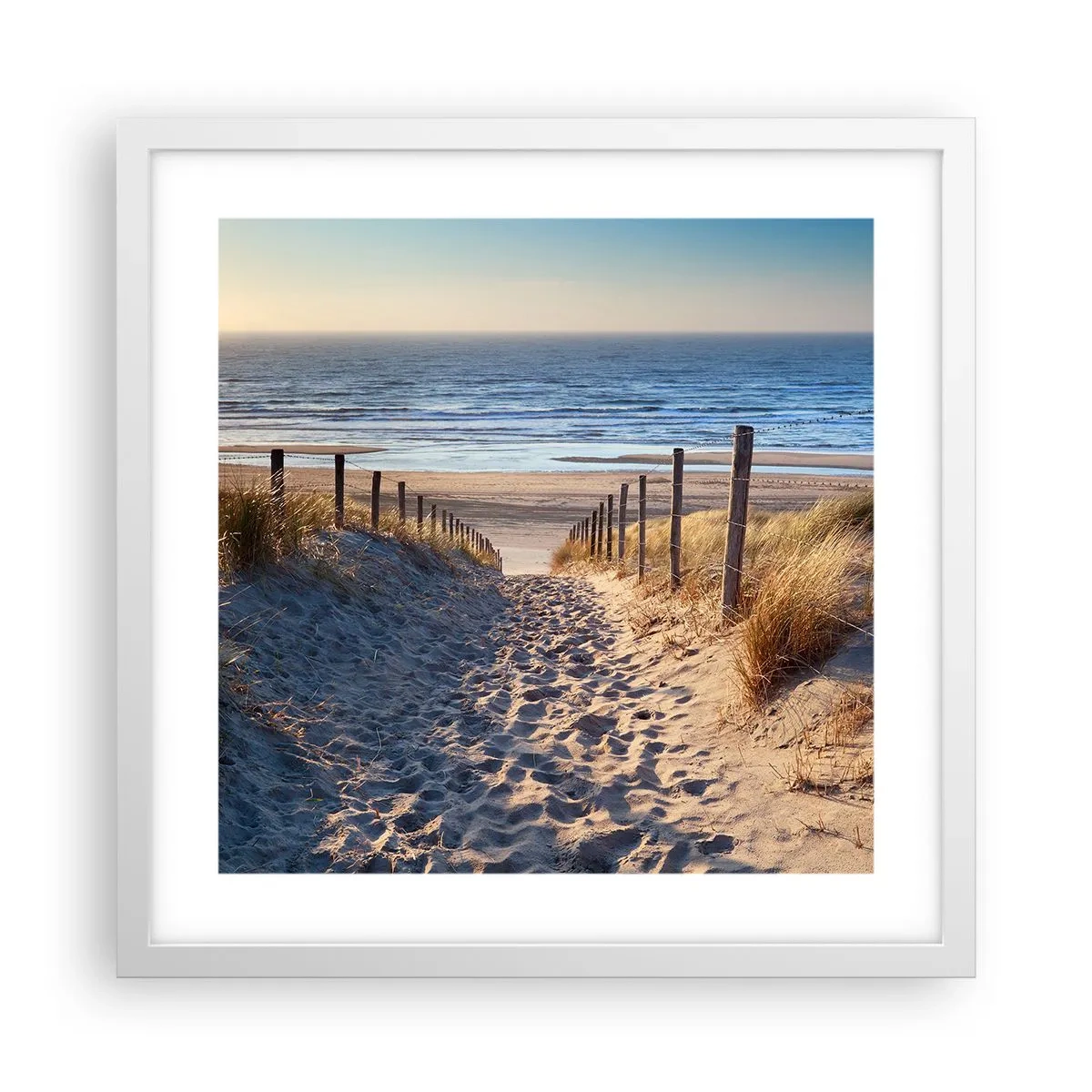 Poster în ramă albă - Zumzet de mare, o plajă sălbatică printre ierburi... - 40x40 cm