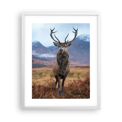 Poster în ramă albă - Pe propriul lui teritoriu - 40x50 cm