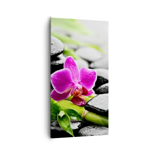 Tablou pe pânză - Într-un echilibru pașnic - 65x120 cm