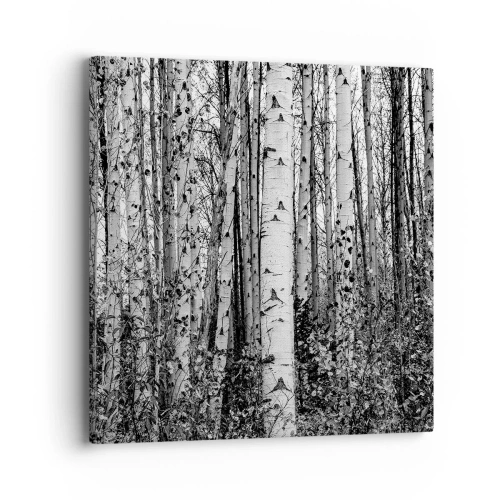 Tablou pe pânză - Coloane de mesteacăn - 40x40 cm