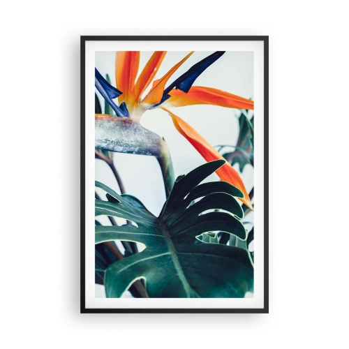 Poster în ramă neagră - Tufiș sau pasăre? - 61x91 cm