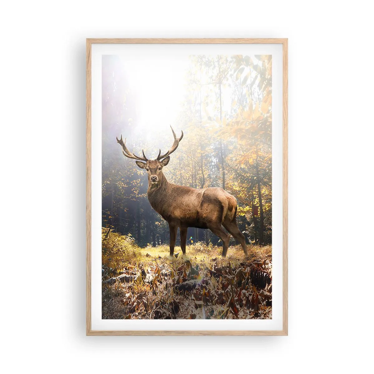 Poster în ramă de stejar deschis - Măreție calmă - 61x91 cm