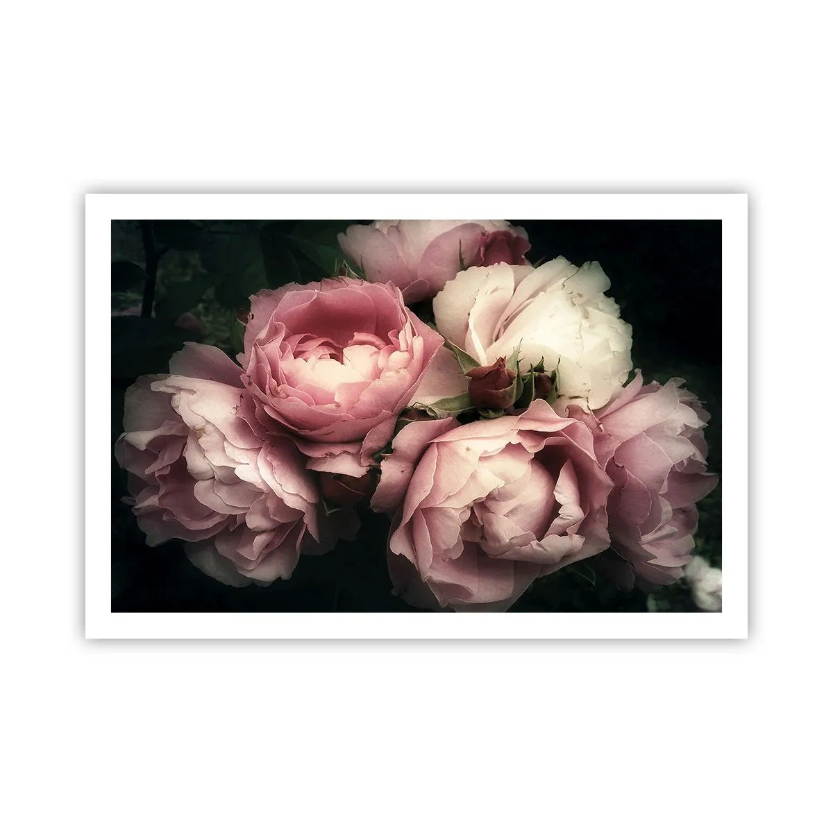 Poster - Farmecul belle epoque - 91x61 cm