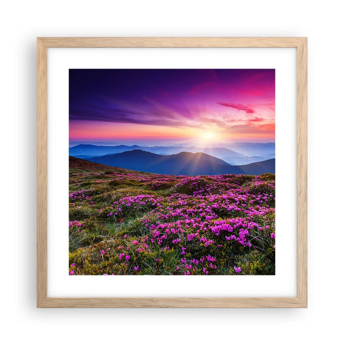 Poster în ramă de stejar deschis - Ierburile proaspete miroseau puternic - 40x40 cm