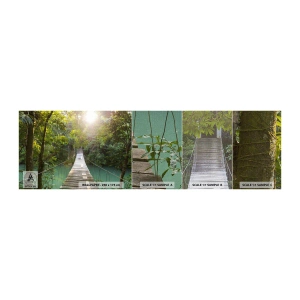 Mostră tapet Premium Canvas - Peste apa de azur spre pădurea de azur - Peisaj, Junglă, Pod de lemn - 100x30 cm