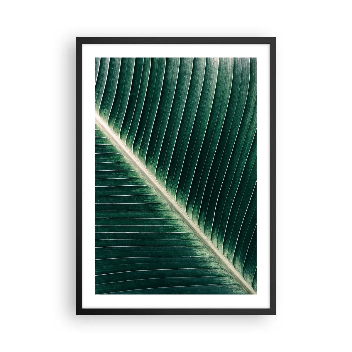 Poster în ramă neagră - Detaliu al unei frunze verzi cu vene vizibile - 50x70cm - Ritmul naturii - Decorațiune modernă pentru perete pentru living și dormitor ARTTOR