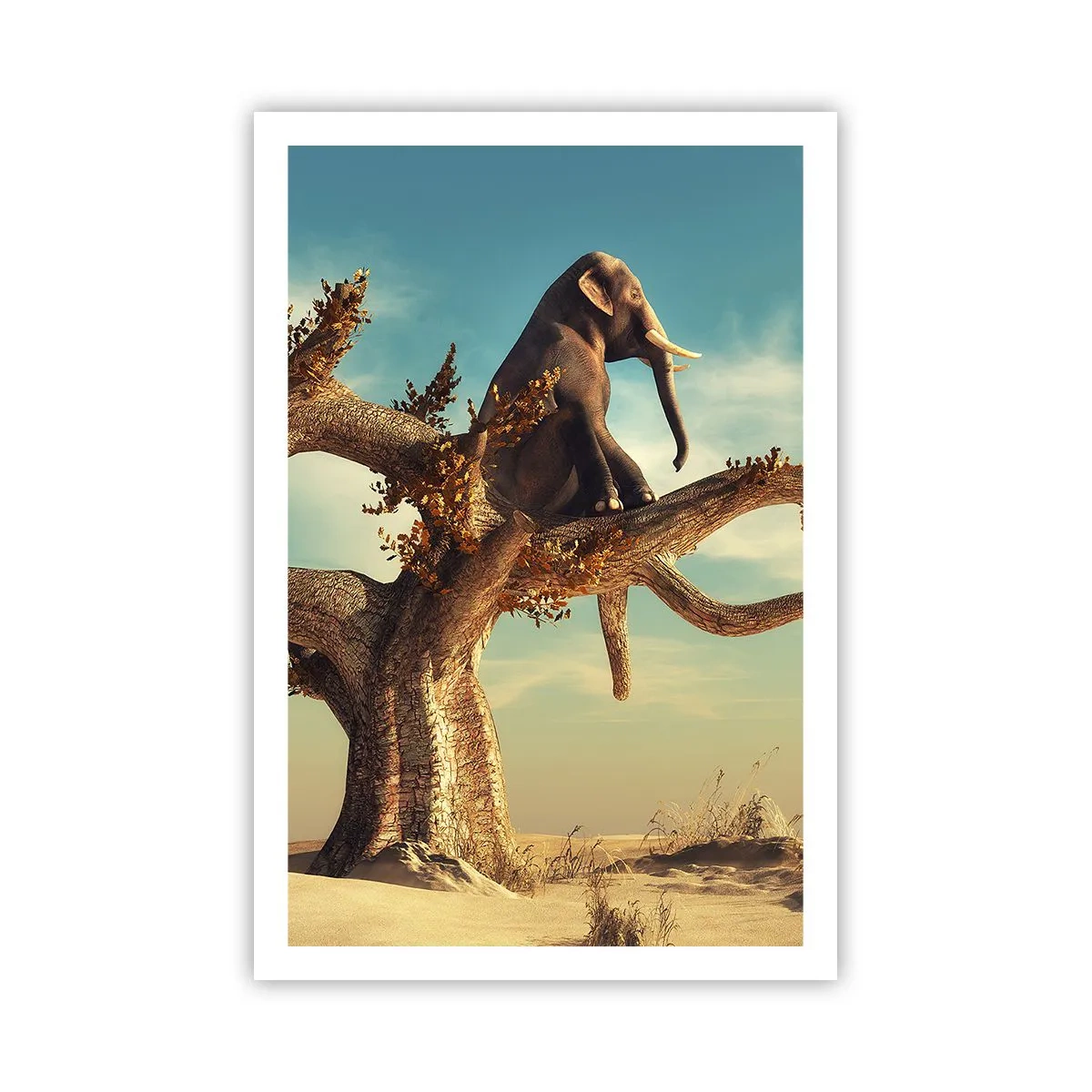 Poster - Un nou punct de vedere - 61x91 cm