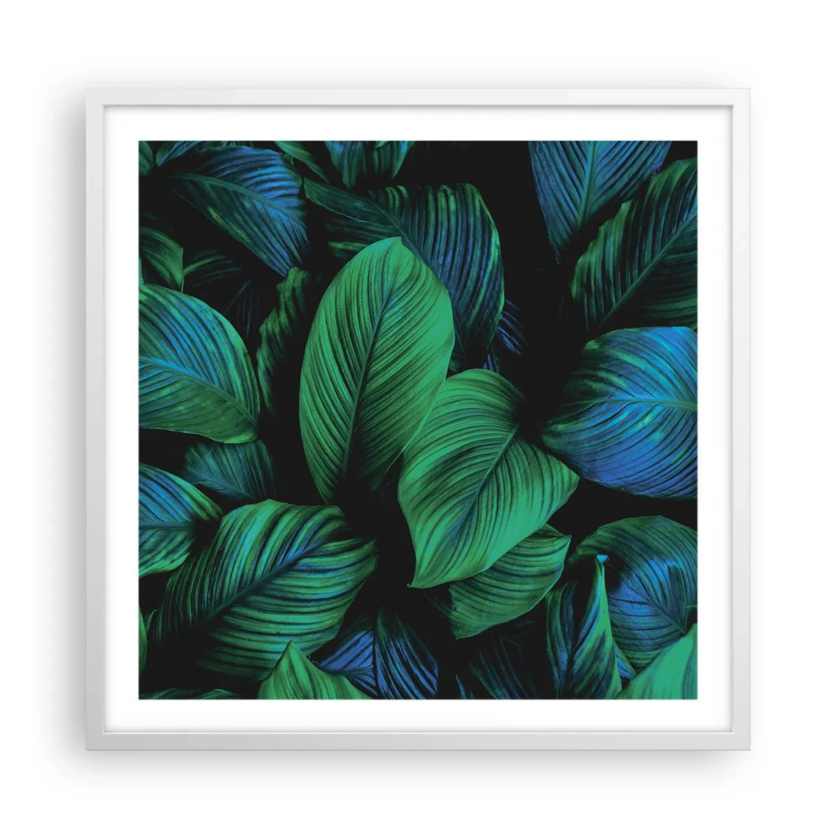 Poster în ramă albă - Traficul verde - 60x60 cm