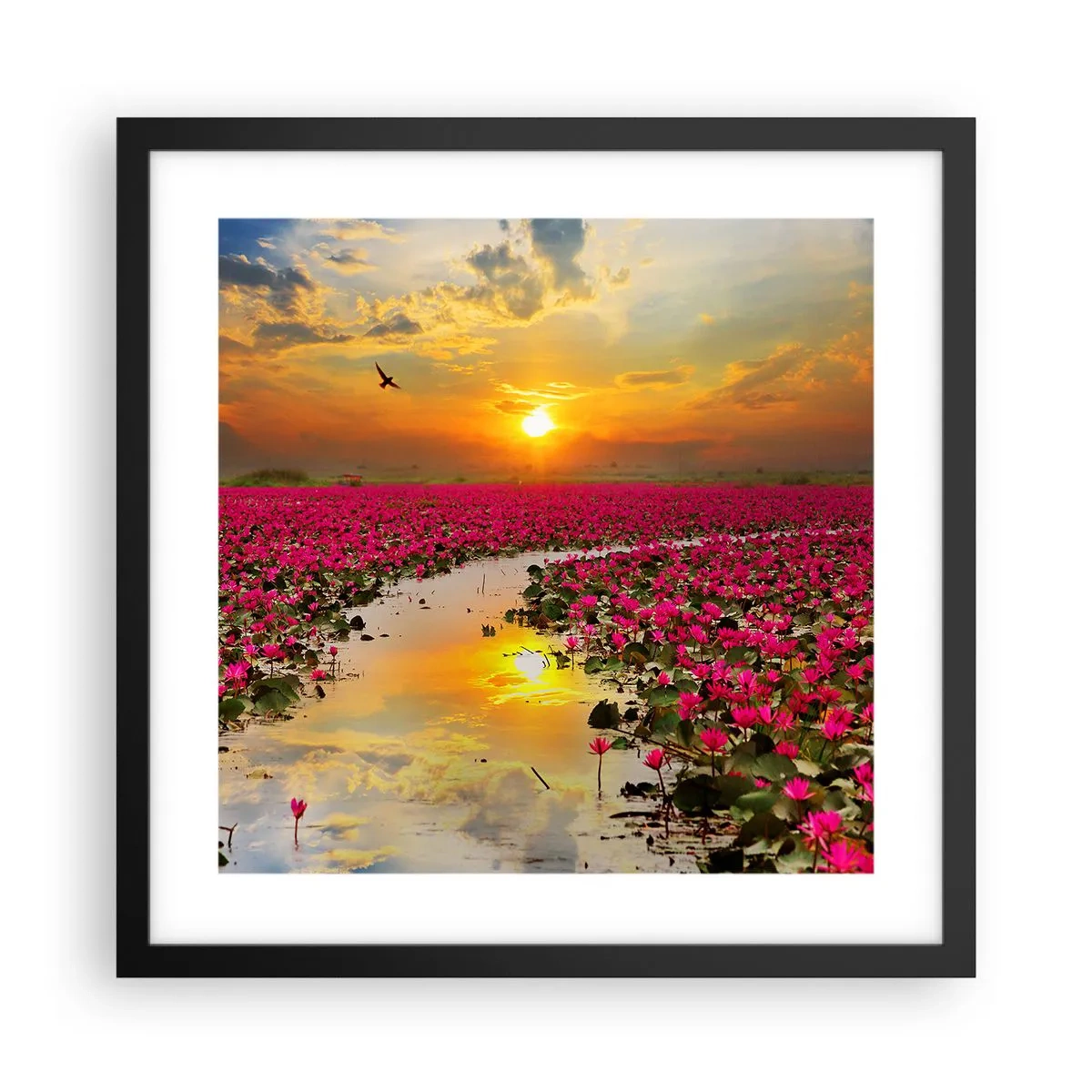 Poster în ramă neagră - Viața secretă a lacului - 40x40 cm