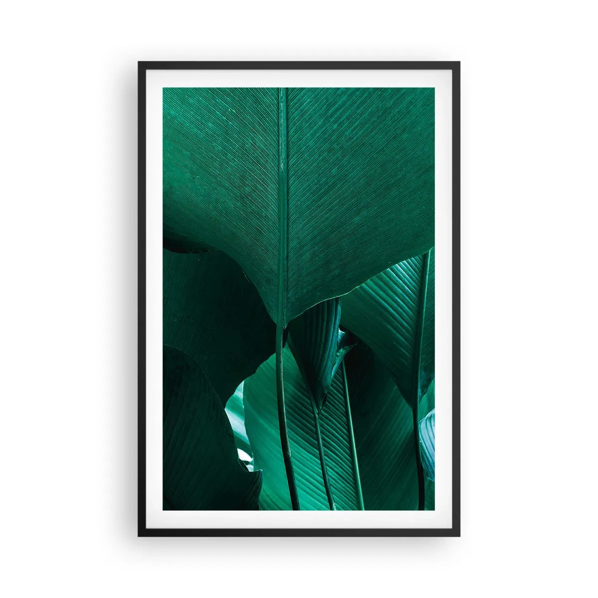 Poster în ramă neagră - Cu frunza la lumină - 61x91 cm