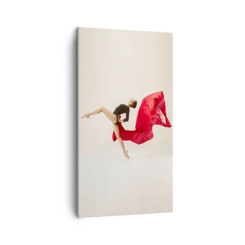 Tablou pe pânză - Roșu și negru - 45x80 cm