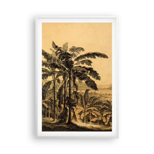 Poster în ramă albă - În stil colonial - 61x91 cm