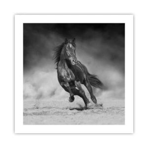 Poster - Dorința emirului - 50x50 cm