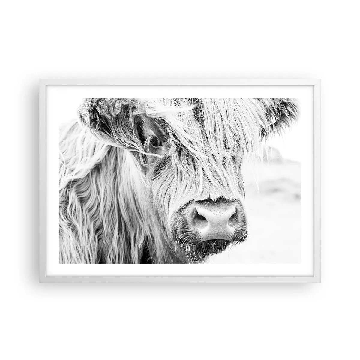 Poster în ramă albă - Sălbăticie scoțiană - 70x50 cm