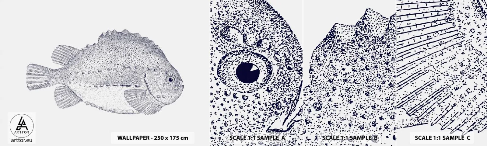 Mostră tapet autocolant Deluxe Sticker - Pentru albumul naturalistului - Peşte, Maritim, Ocean - 100x30 cm