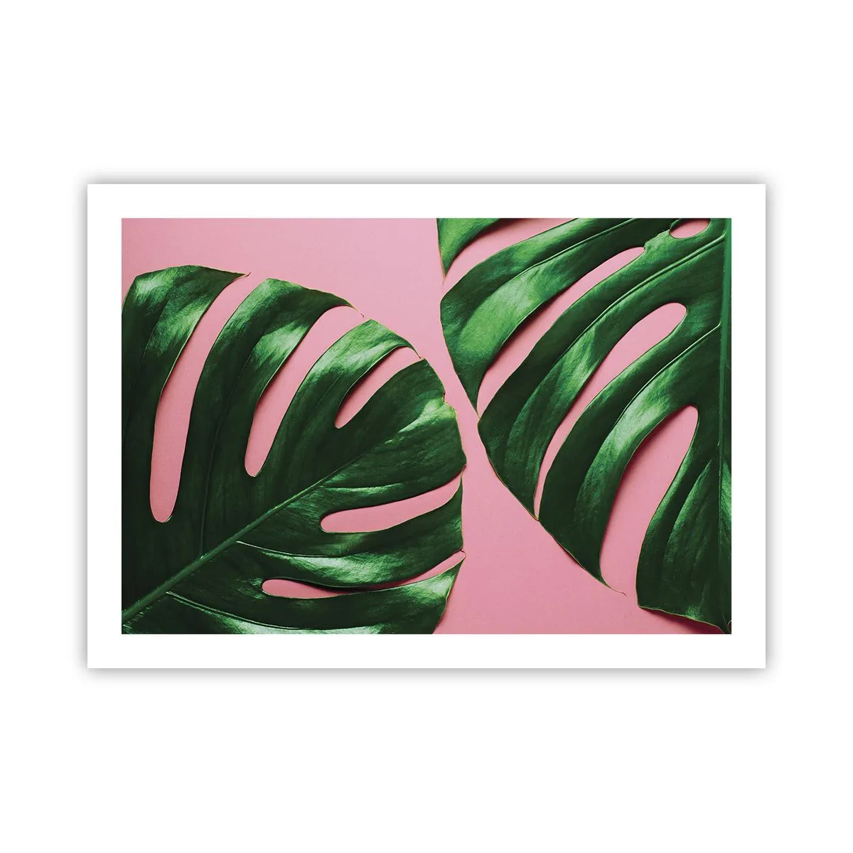 Poster - Întâlnire verde - 70x50 cm