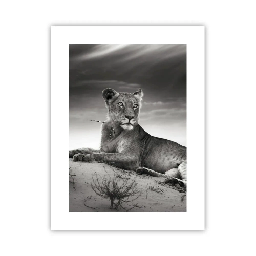 Poster - Odihna reginei deșertului - 30x40 cm