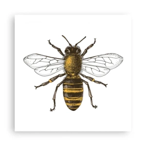 Poster - Frumoasă și bună - 50x50 cm