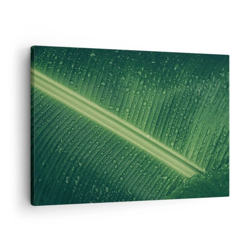 Tablou pe pânză Canvas - O frunză verde cu picături de apă pe suprafața ei - 70x50cm - Structura verdelui - Decorațiune modernă pentru perete pentru living și dormitor ARTTOR