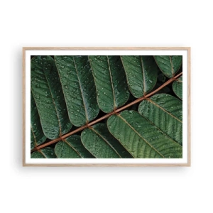Poster în ramă de stejar deschis - Într-un ritm verde - 100x70 cm