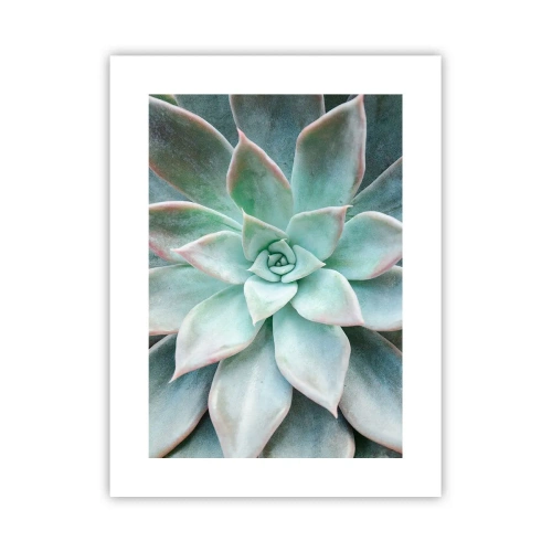 Poster - Inima deșertului - 30x40 cm