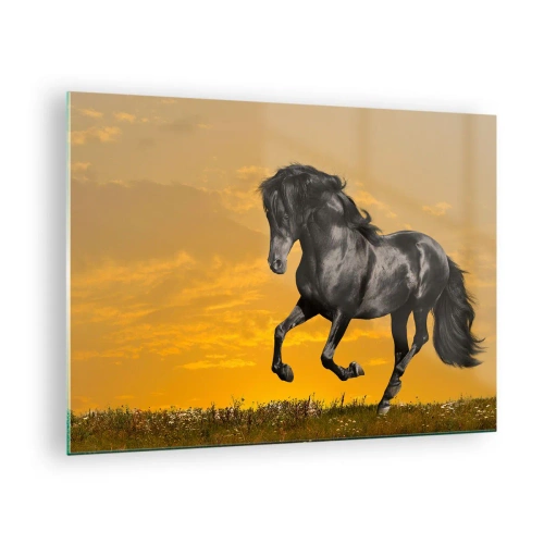 Tablou pe sticlă - Un cal negru galopând pe fondul soarelui apus - 70x50cm - Frumos, liber și sălbatic - Decorațiune modernă pentru perete pentru living și dormitor ARTTOR