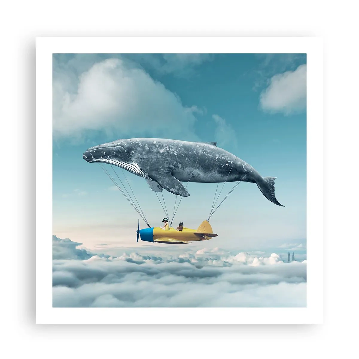 Poster - De ce nu? - 60x60 cm