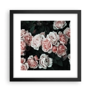Poster în ramă neagră - Ansamble de trandafiri - 30x30 cm