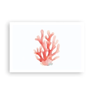Poster - Culoare de coral - 91x61 cm