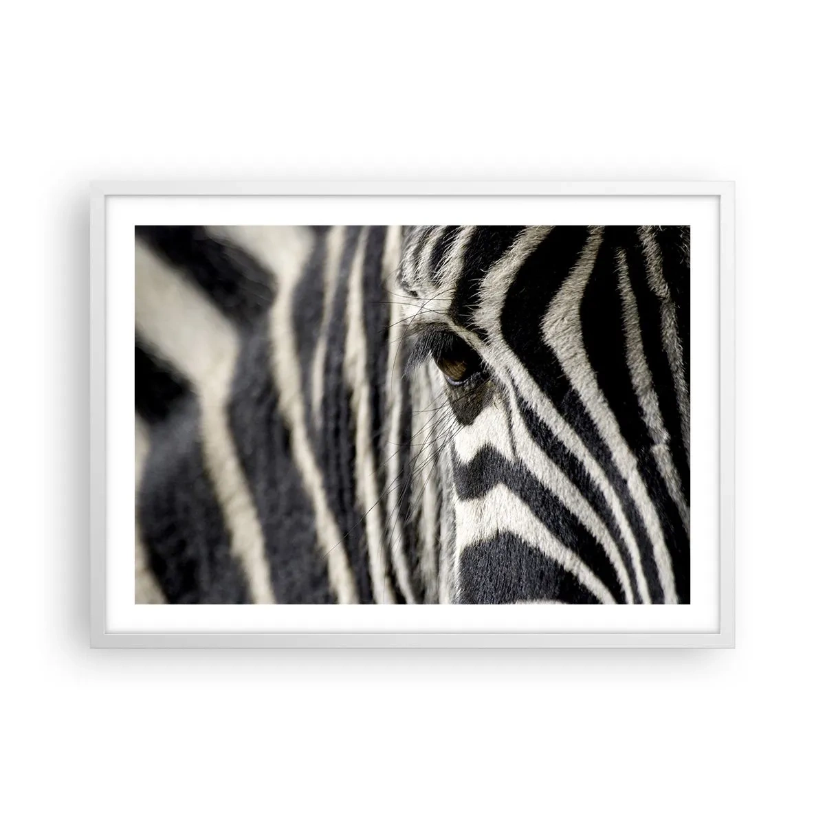 Poster în ramă albă - Portret cu dungi - 70x50 cm