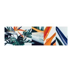 Mostră tapet autocolant Deluxe Sticker - Tufiș sau pasăre? - Plante, Boho, Exotic - 100x30 cm