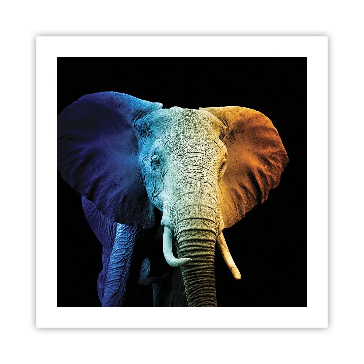 Poster - Excentric, nu ciudat - 50x50 cm