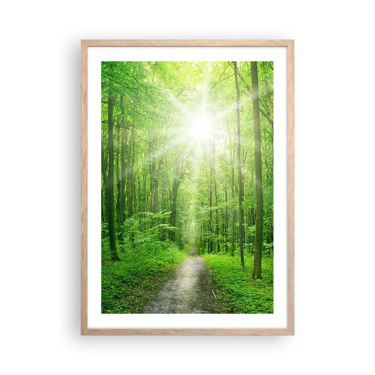 Poster în ramă de stejar deschis - Catedrala verde - 50x70 cm