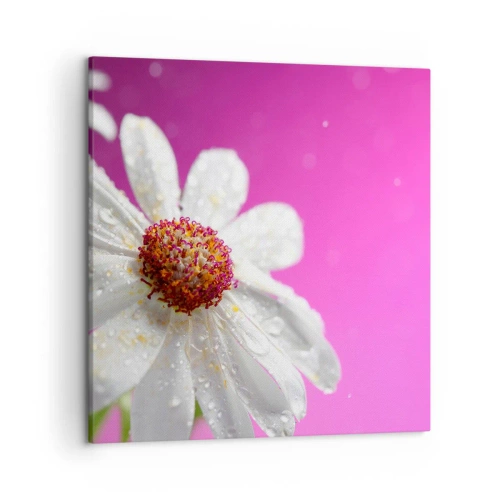 Tablou pe pânză - Modestă în frumusețea ei - 50x50 cm