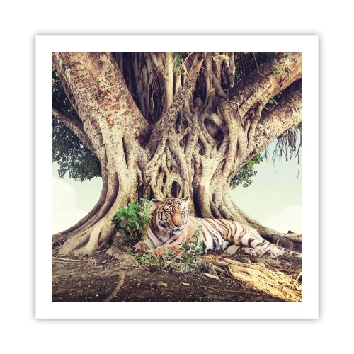 Poster - O perspectivă din Geneză - 60x60 cm