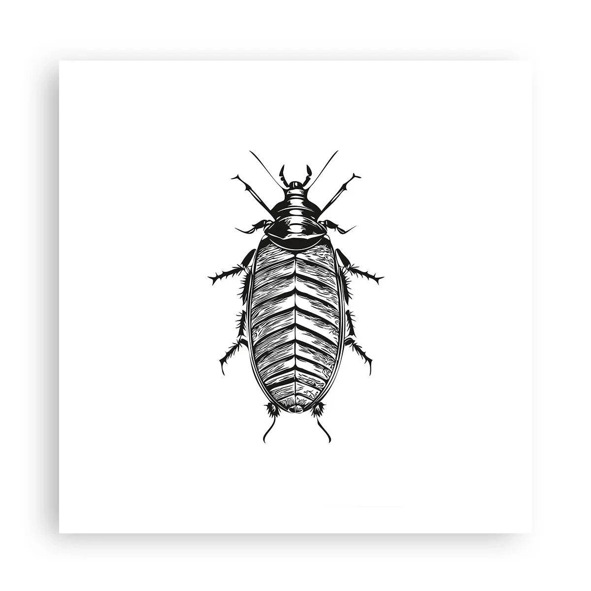 Poster - Ce specimen! - 60x60 cm