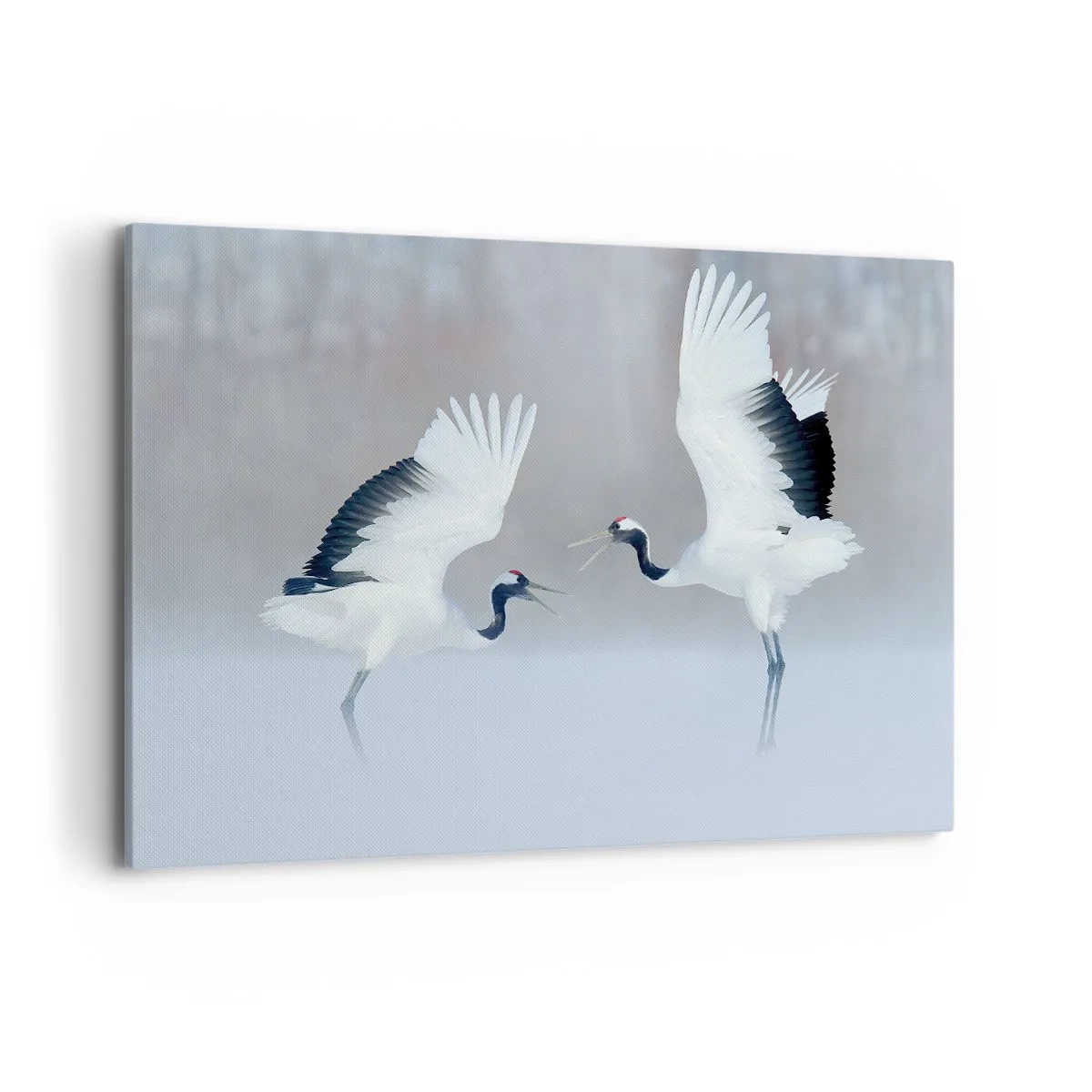 Tablou pe pânză - Dansând în ceață - 100x70 cm