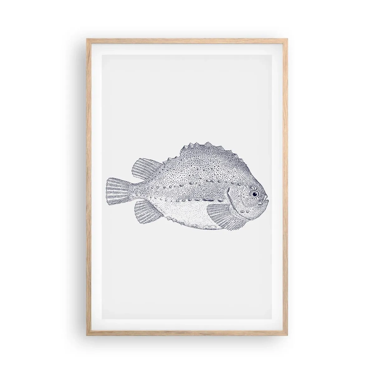 Poster în ramă de stejar deschis - Pentru albumul naturalistului - 61x91 cm