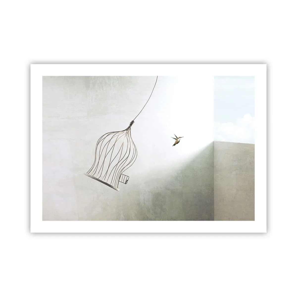 Poster - Eliberat - 70x50 cm