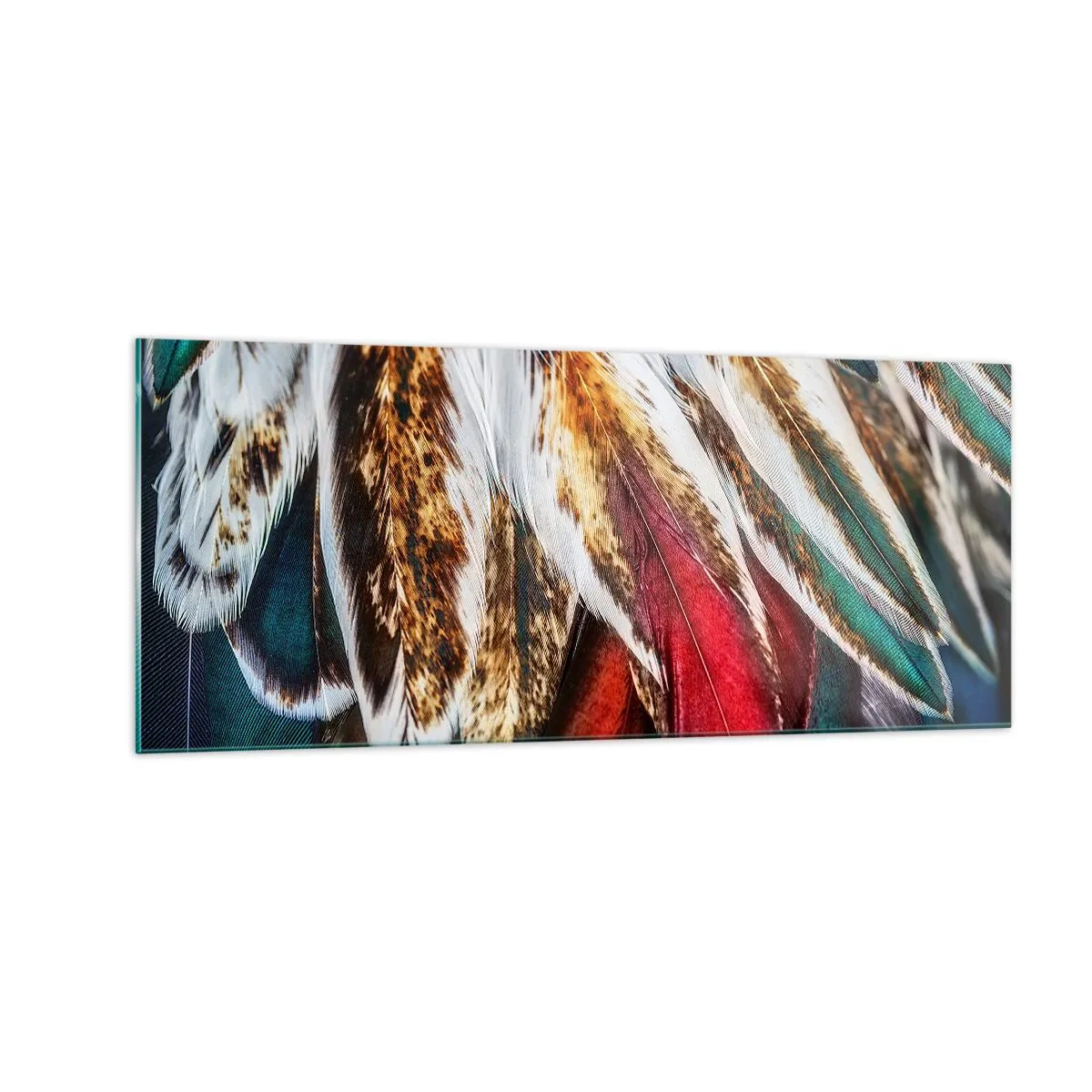Tablou pe sticlă - Secretele zborului - 100x40 cm