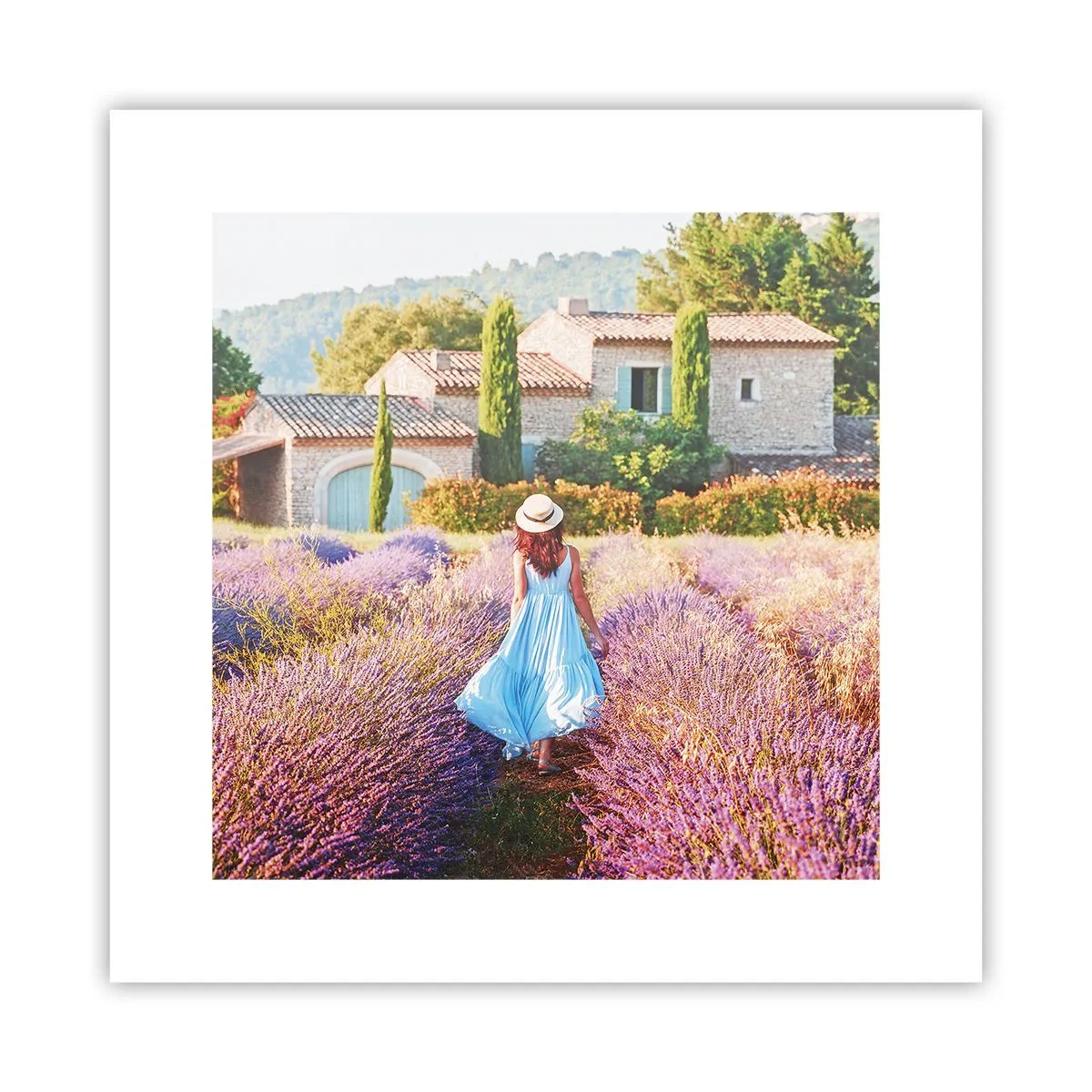 Poster - Fata de lavandă - 30x30 cm