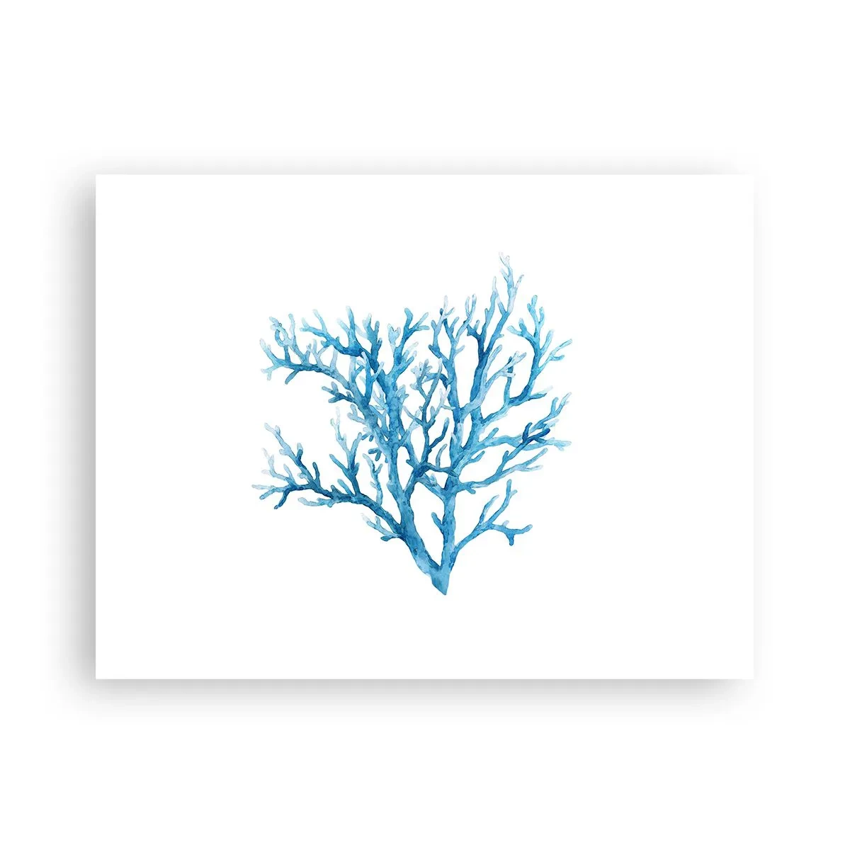 Poster - Filigranul marin - 40x30 cm