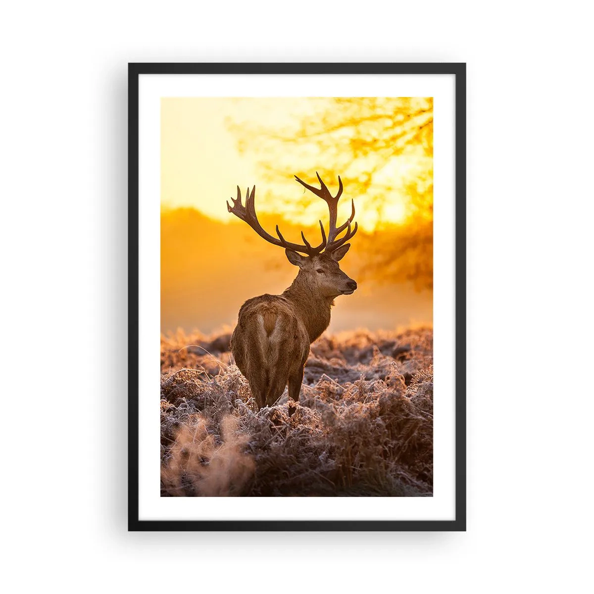 Poster în ramă neagră - Un cerb pe fundalul unui răsărit auriu - 50x70cm - Regele pădurii de toamnă - Decorațiune modernă pentru perete pentru living și dormitor ARTTOR
