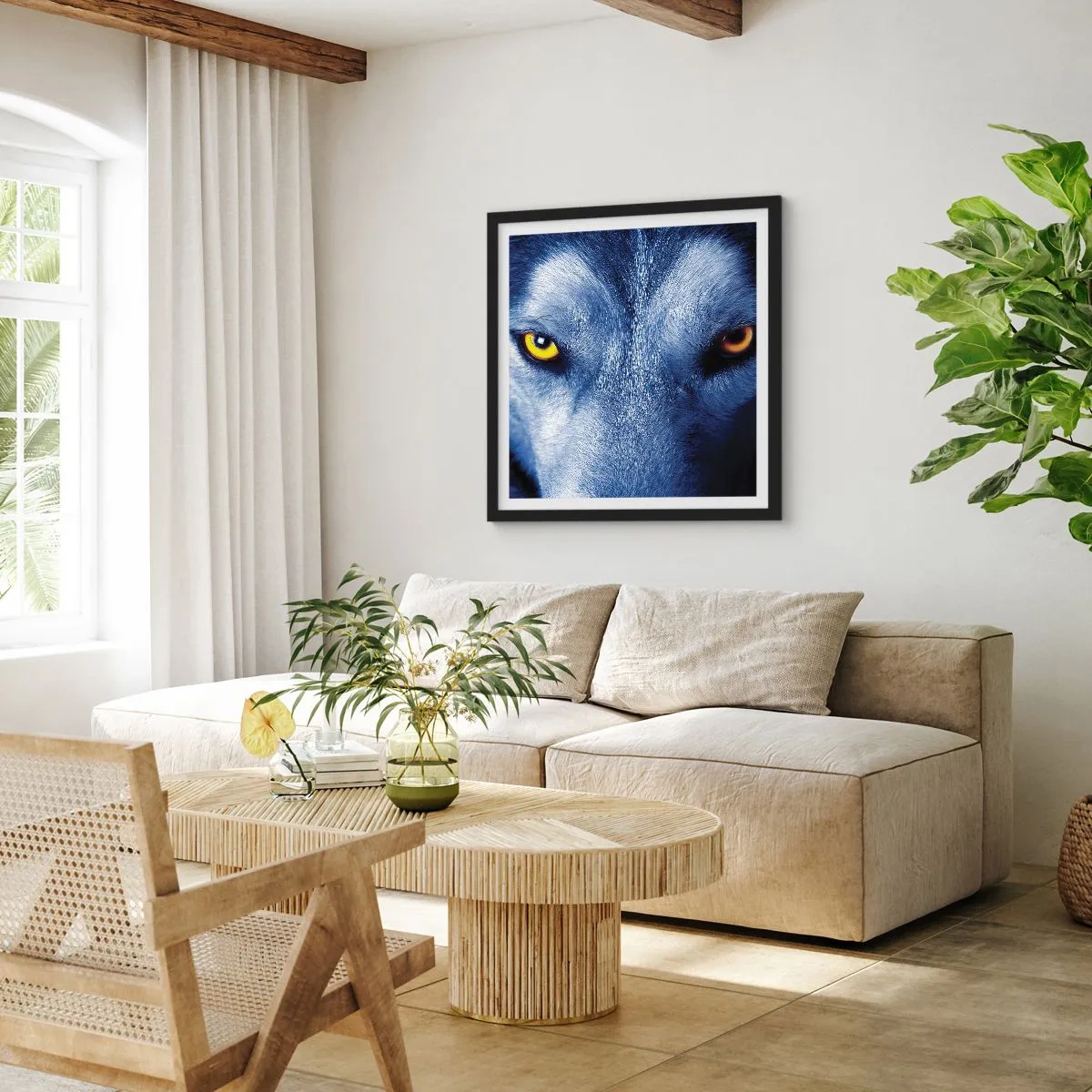 Poster în ramă neagră - O privire hipnotizantă - 50x50 cm