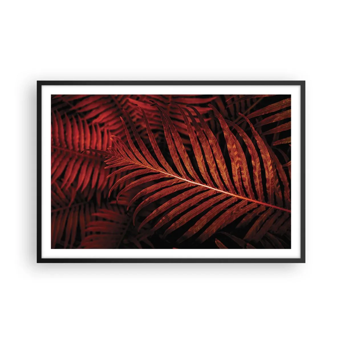 Poster în ramă neagră - Ardoarea vieții - 91x61 cm