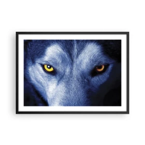 Poster în ramă neagră - O privire hipnotizantă - 70x50 cm
