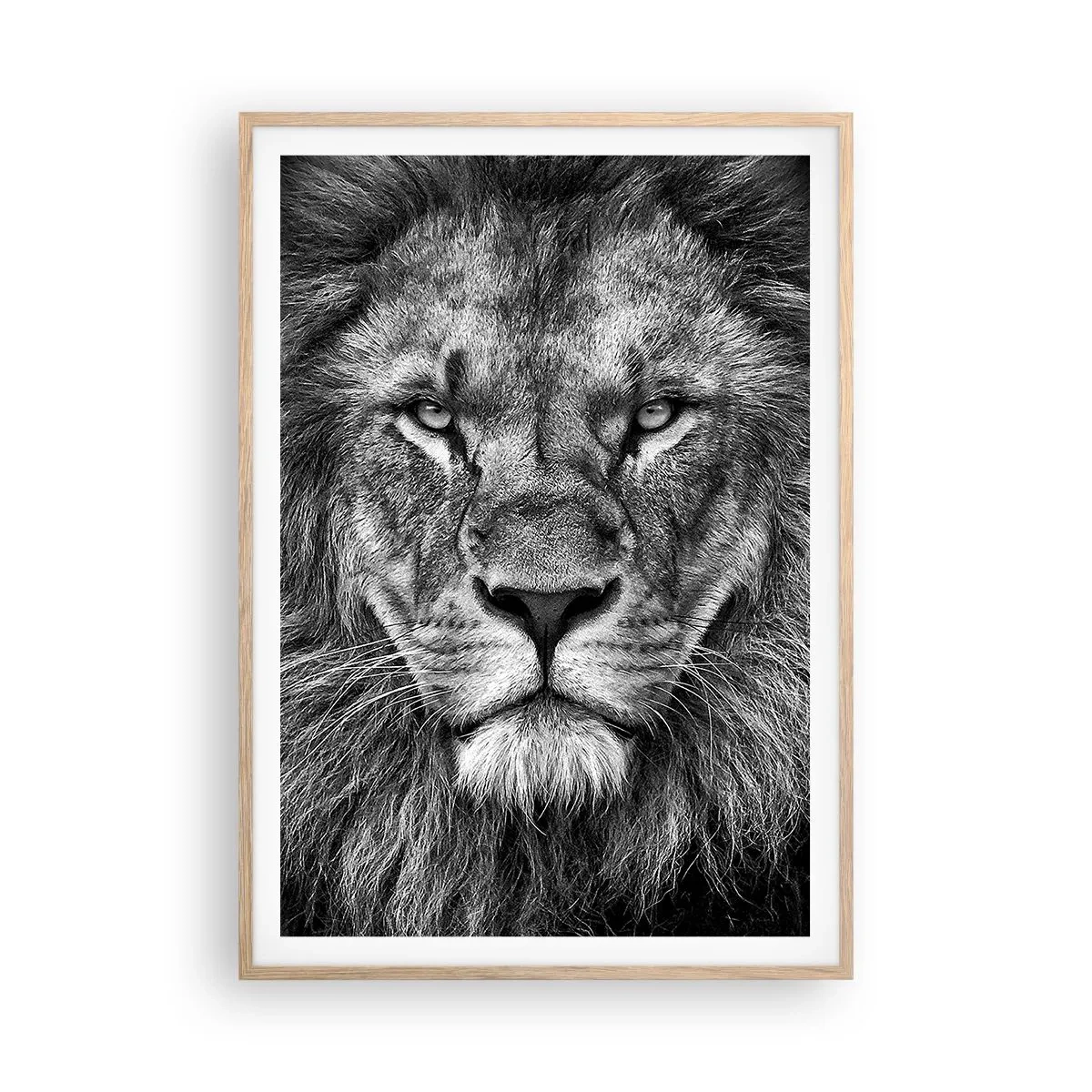 Poster în ramă de stejar deschis - În ținuta de încoronare - 70x100 cm