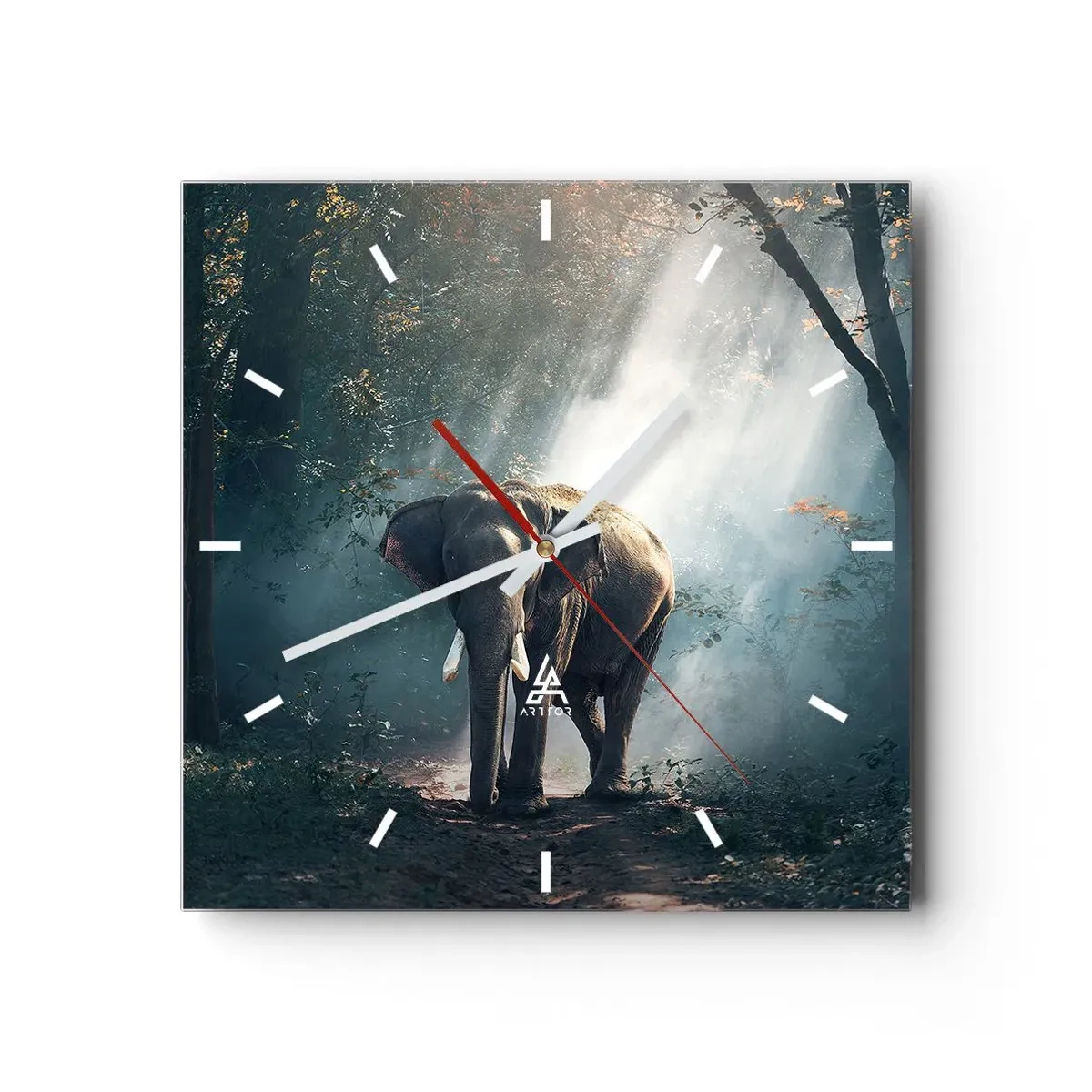 Ceas de perete - Ceas pe sticlă - O plimbare liniștită - 40x40 cm