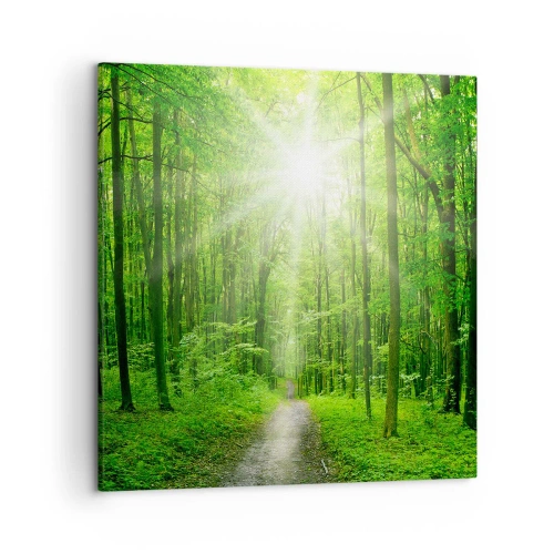 Tablou pe pânză - Catedrala verde - 50x50 cm
