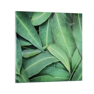 Tablou pe sticlă - Suculente și proaspete - 50x50 cm